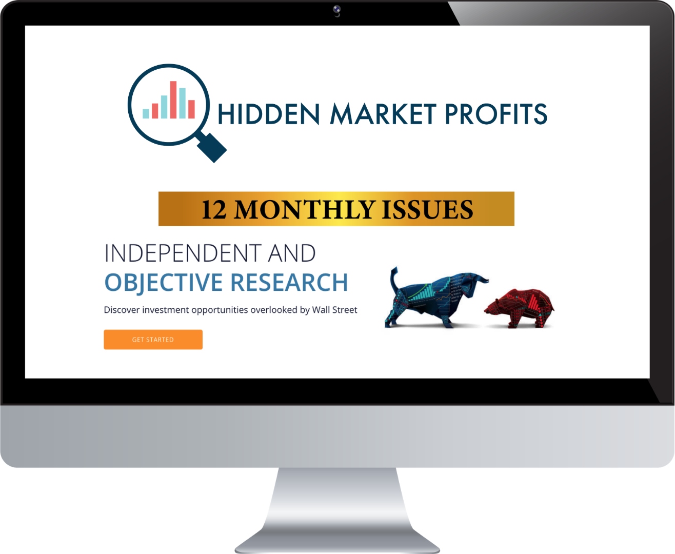 Hidden Market Profits — 12 monthly issues